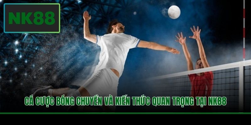Cá Cược Bóng Chuyền Và Kiến Thức Quan Trọng Tại NK88 1 Cá Cược Bóng Chuyền Và Kiến Thức Quan Trọng Tại NK88
